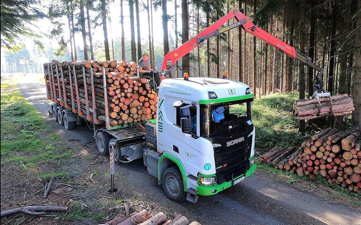 带随车吊的斯堪尼亚r650 xt装载原木_哔哩哔哩 (゜-゜)つロ 干杯