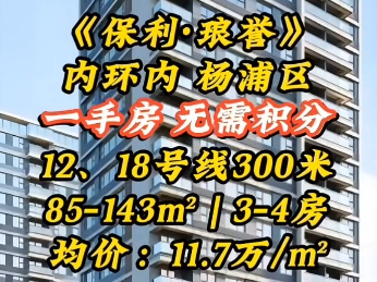 内环内ⷮŠ杨浦滨江,12、18号线江浦公园双轨交,《保利琅誉》少量房源热销中,均价【11.7万/㎡ 】,建面约85145㎡ | 24房!哔哩哔哩bilibili