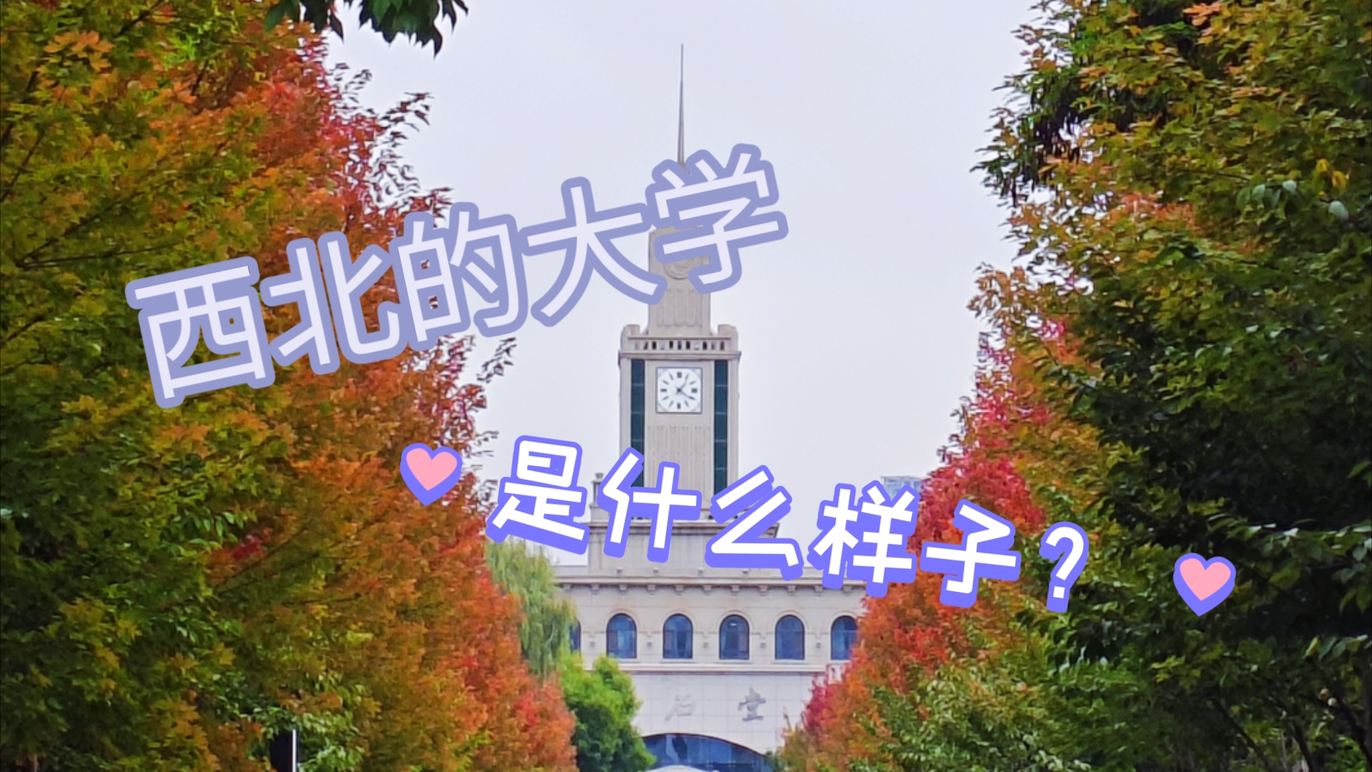 【大学校园实拍】这是你认为的大西北的大学吗哔哩哔哩bilibili