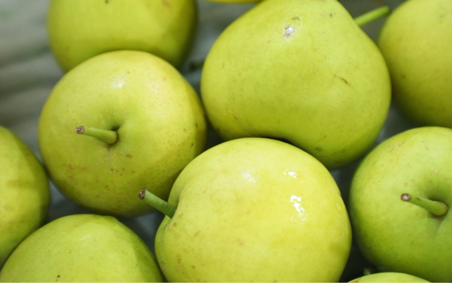 脆蜜糖梨,又脆又甜好吃到停不下来