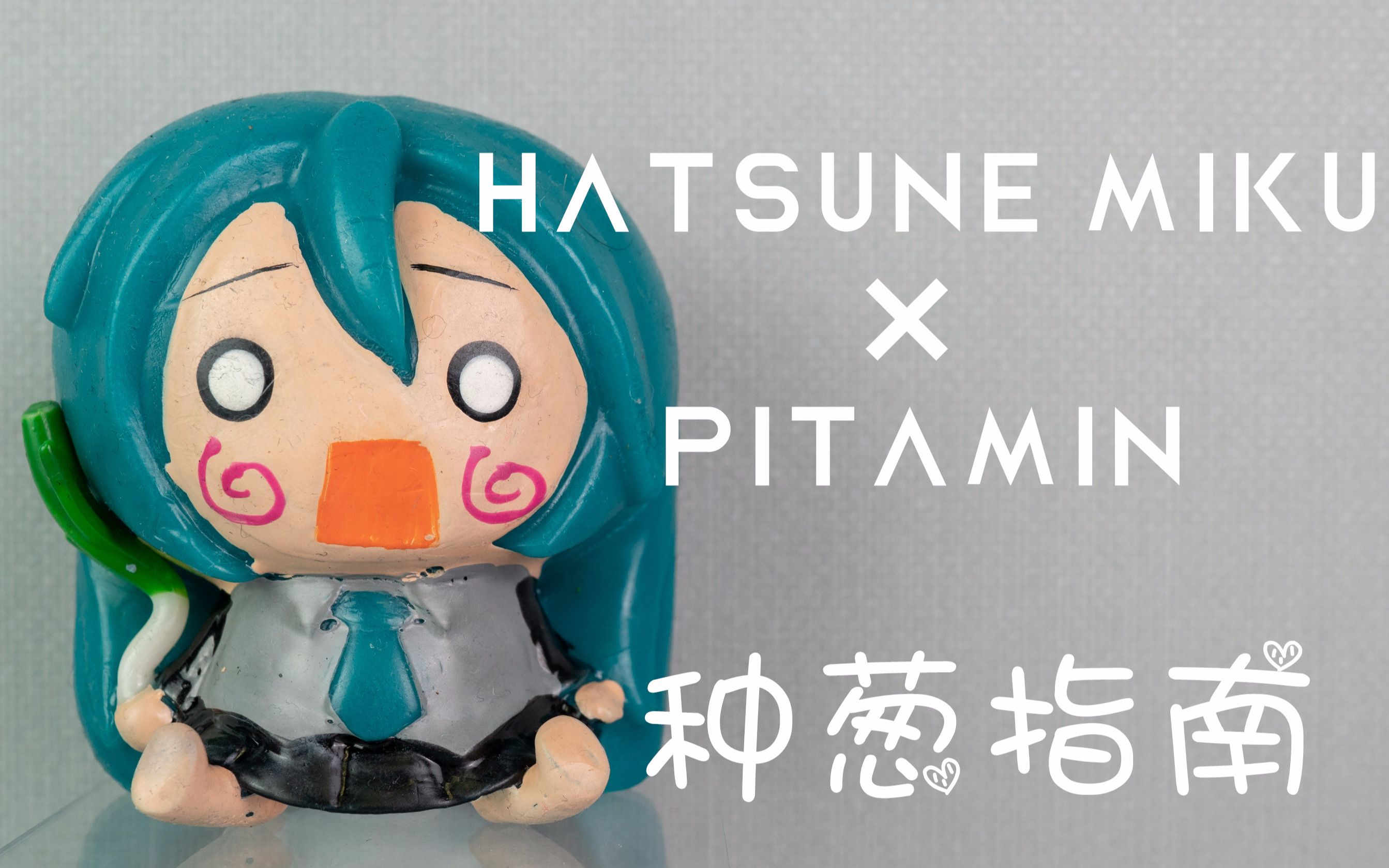 种葱指南初音未来pitamin