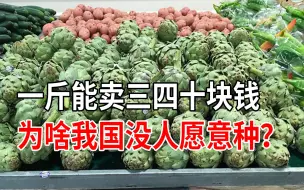 下载视频: 40块钱一斤的洋蓟，亩产4000斤，为啥我国没人愿意种？