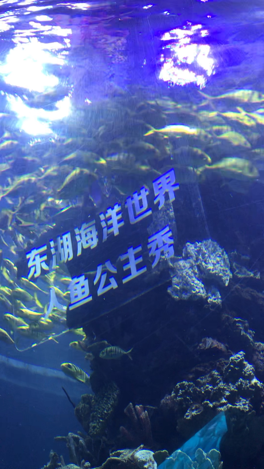 武汉国博海洋乐园进展图片