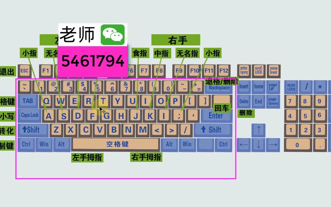 零基礎電腦知識,掌握鍵盤標準指法,打字速度和準確率都可以提高