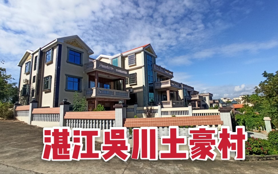 吴川富豪给村民建别墅图片