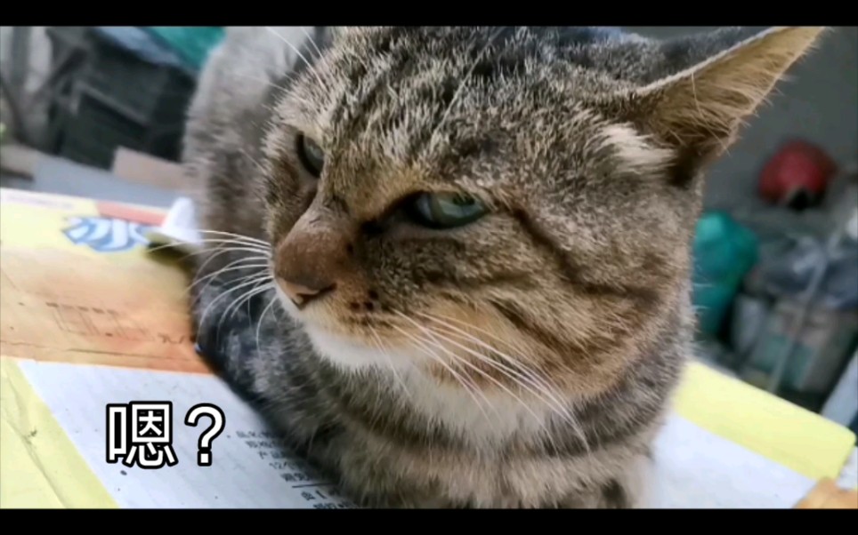 看劳资眼神儿—"灭神!