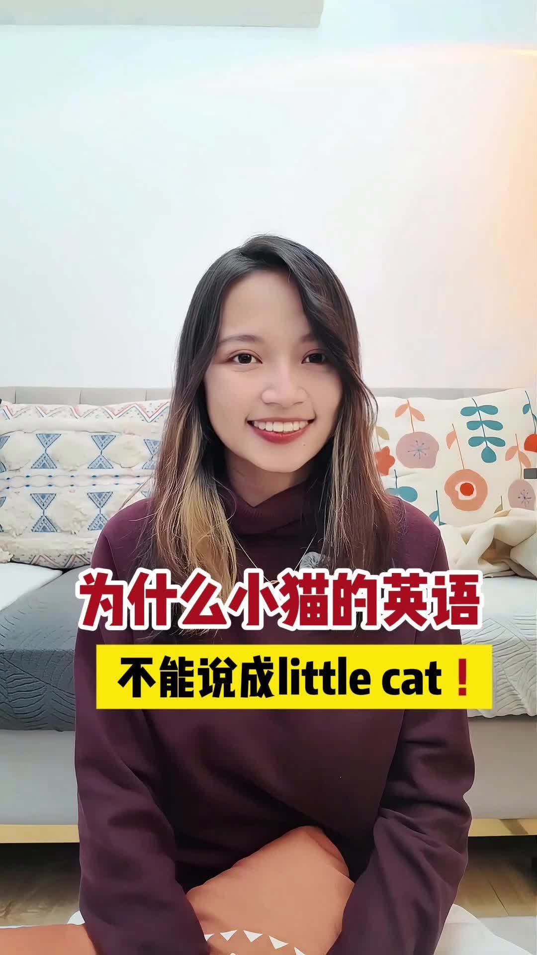 为什么小猫的英语,不能说成little cat?哔哩哔哩bilibili