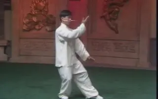 杨式太极拳 哔哩哔哩 Bilibili