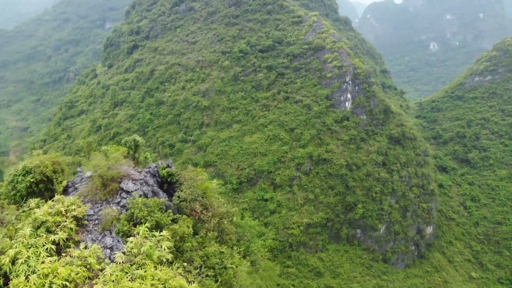 来龙强旺穴不真,风吹气散号虚花!哔哩哔哩bilibili