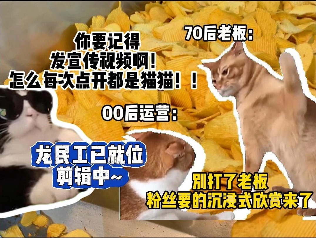 【猫meme/薯片工厂】国产薯片工厂!你们要的沉浸式生产薯片来啦,生产音量大,警告!调低音量进入~哔哩哔哩bilibili