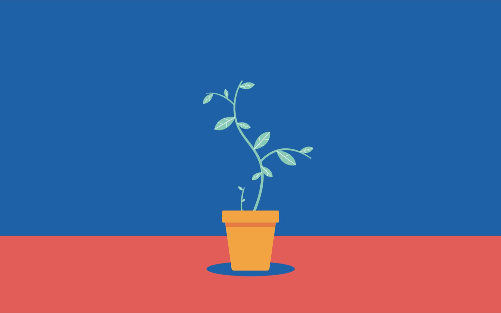 ae教程|15分钟快速制作一个植物生长动画