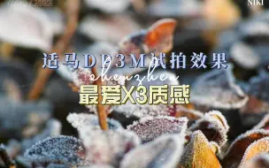 Скачать видео: 适马DP3M质感x3