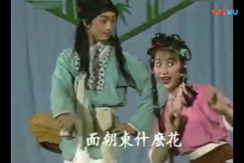 [图]黄梅戏《打猪草·对花》演唱：马兰 韩军