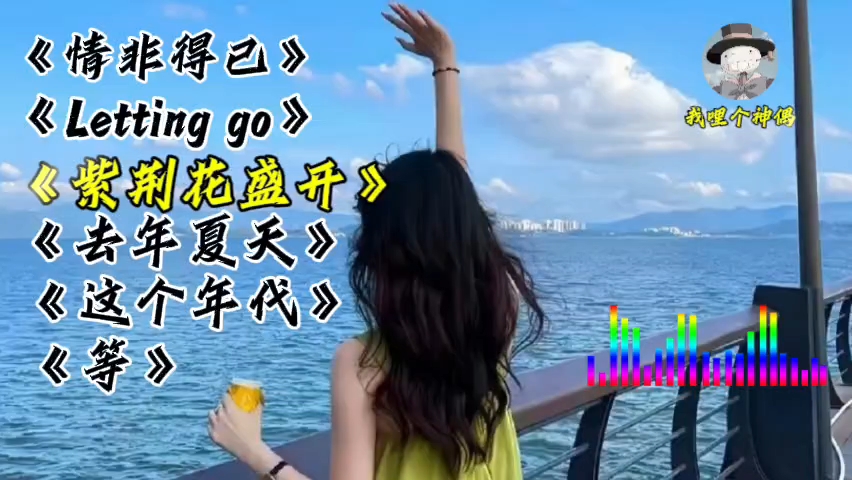 [图]经典歌曲合集《情非得已》《Letting go》 《紫荆花盛开》《去年夏天》《这个年代》《等》