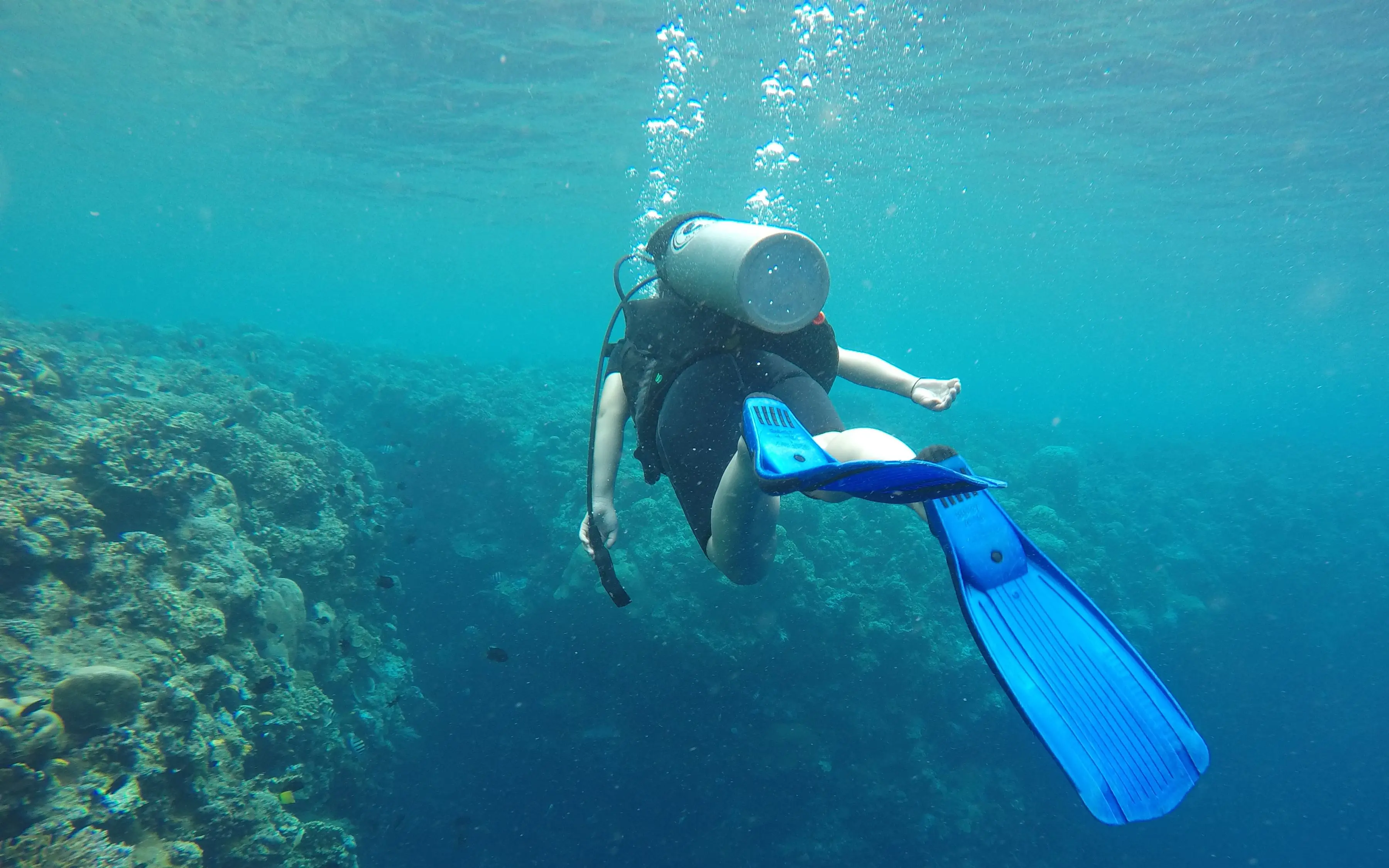 美娜多潜水gopro水下拍摄 哔哩哔哩 Bilibili