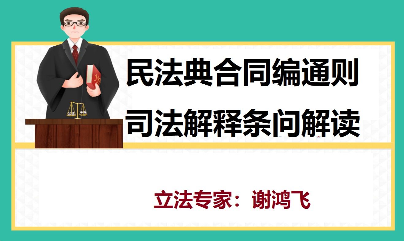 民法典合同编通则司法解释逐条精讲(谢鸿飞)哔哩哔哩bilibili