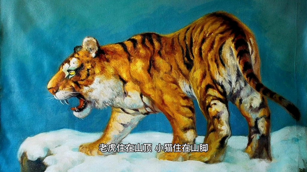 小猫与老虎