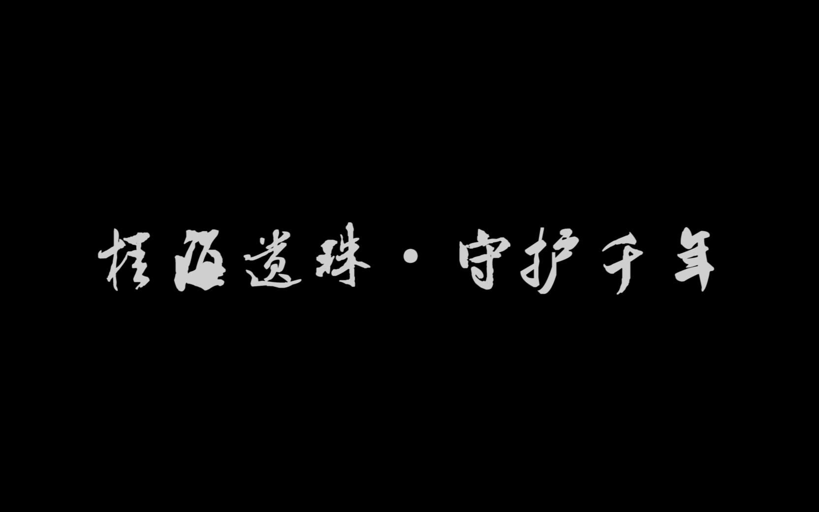 [图]《桂海遗珠·守护千年》——桂林摩崖石刻