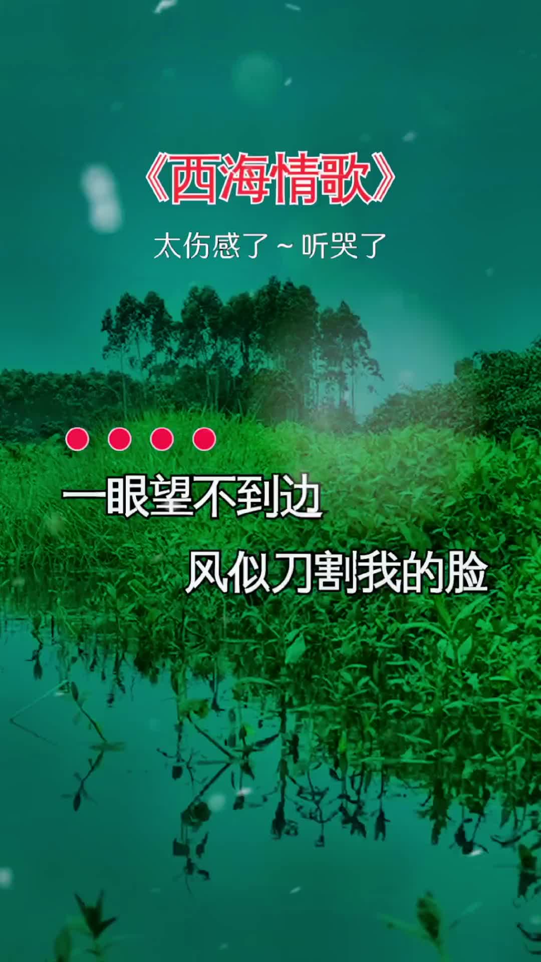 终于找到这首歌了 西海情歌 百听不厌 歌词句句入心 橘子音乐库
