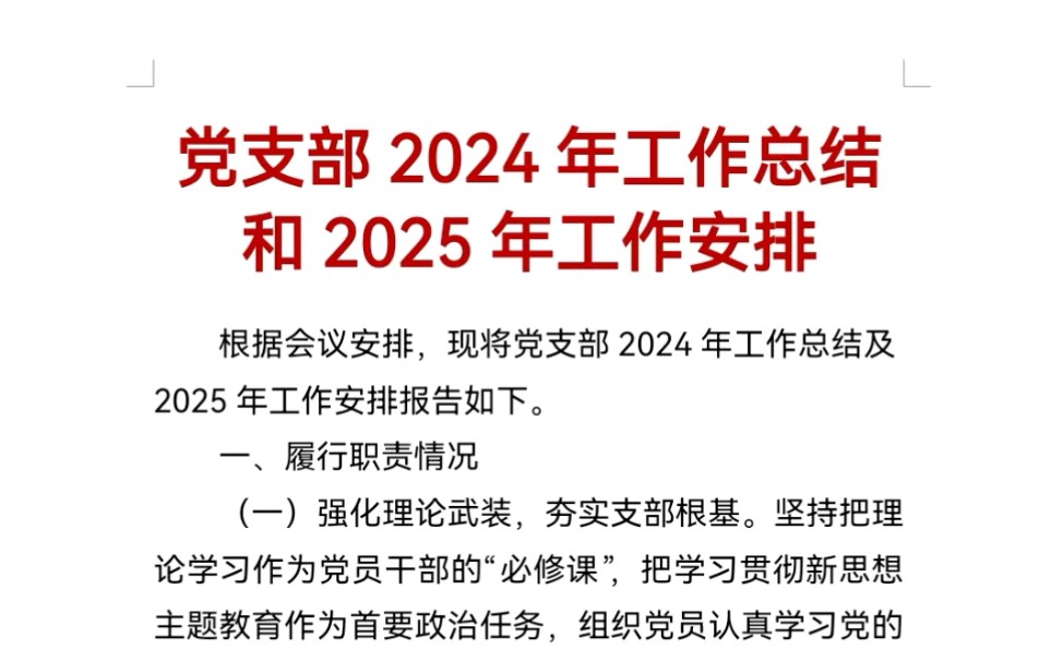 党支部2024年工作总结和2025年工作安排哔哩哔哩bilibili