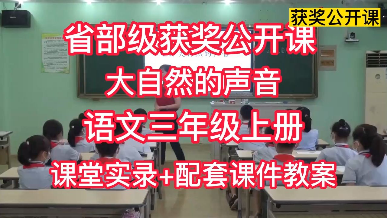 《大自然的声音》优质公开课 教师获奖课 比赛课课堂实录(有ppt教案)