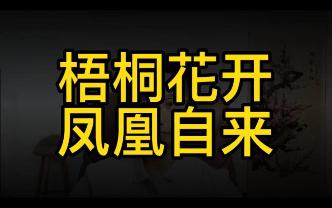 [图]梧桐花开凤凰自来