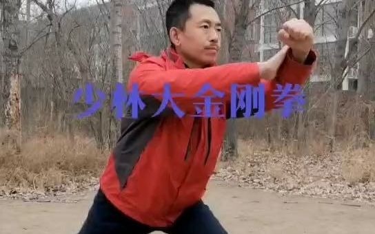 传统少林拳法少林大金刚拳法哔哩哔哩bilibili