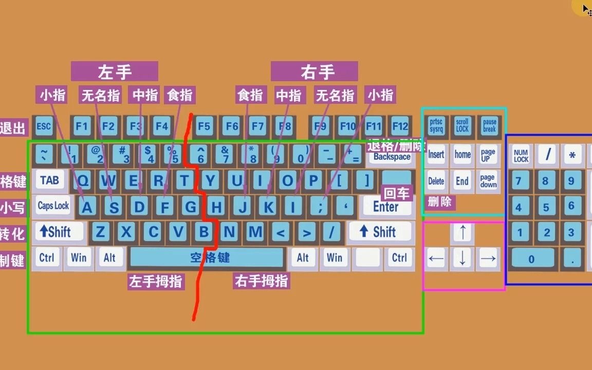 零基础学电脑打字,快速学会键盘打字,适合初学者学习哔哩哔哩bilibili