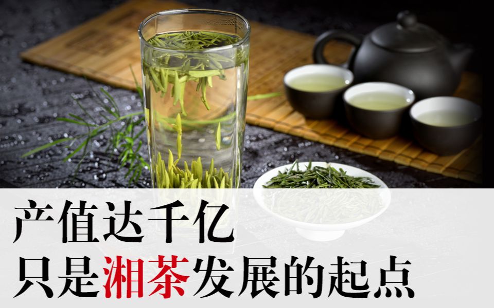 [图]潇湘眼 | 产值达千亿，只是湘茶发展的起点