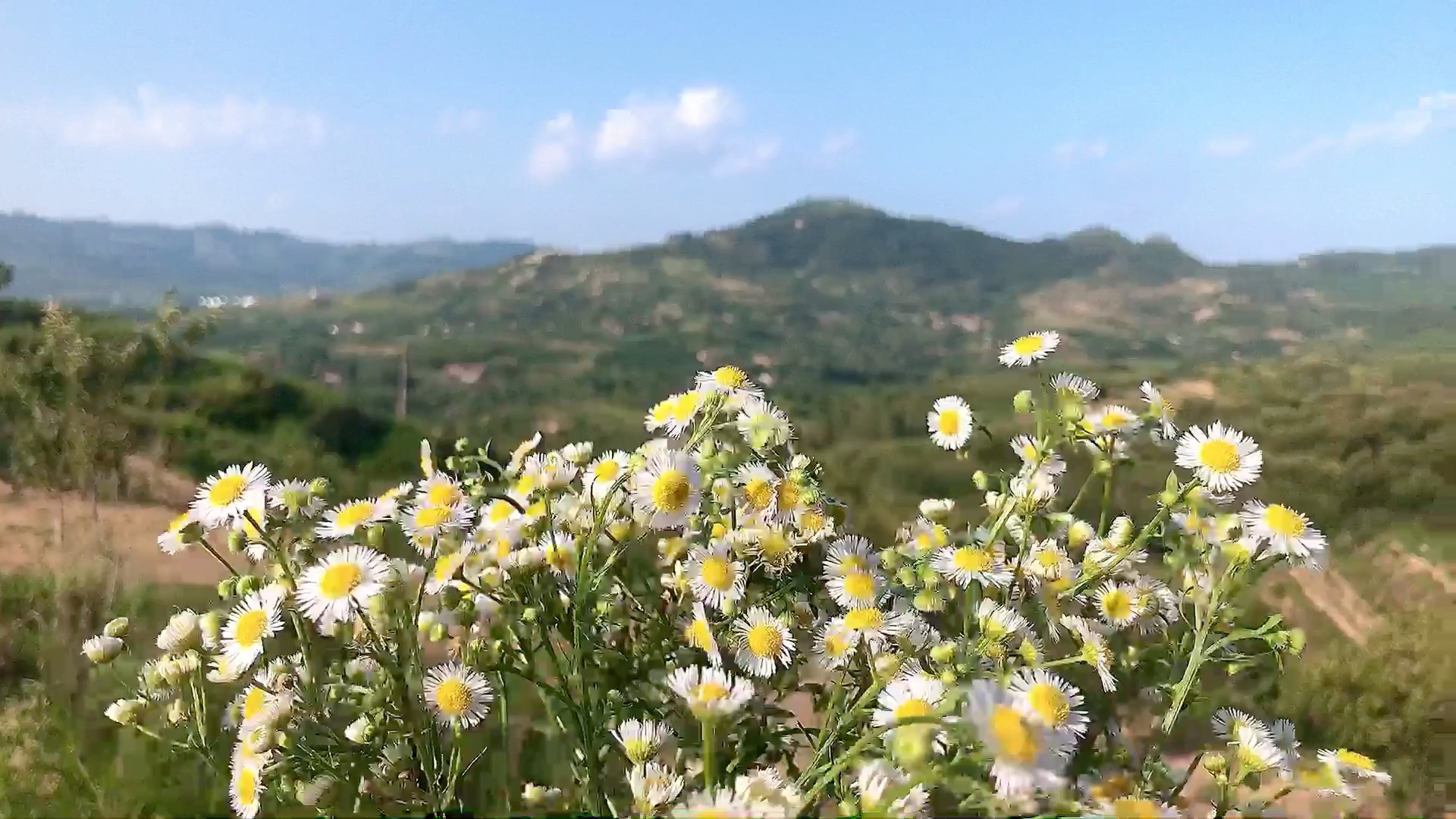 [图]夏天是最美的风景