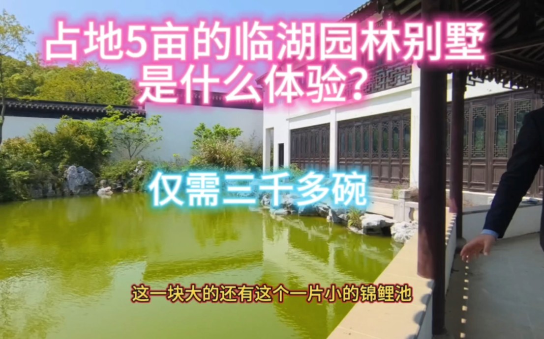 家里占地5亩一线临湖的园林别墅是什么体验?畅游太湖五大城市哔哩哔哩bilibili