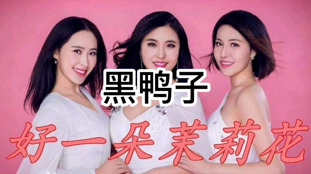 民歌欣赏黑鸭子茉莉花经典就是不一样百听不厌