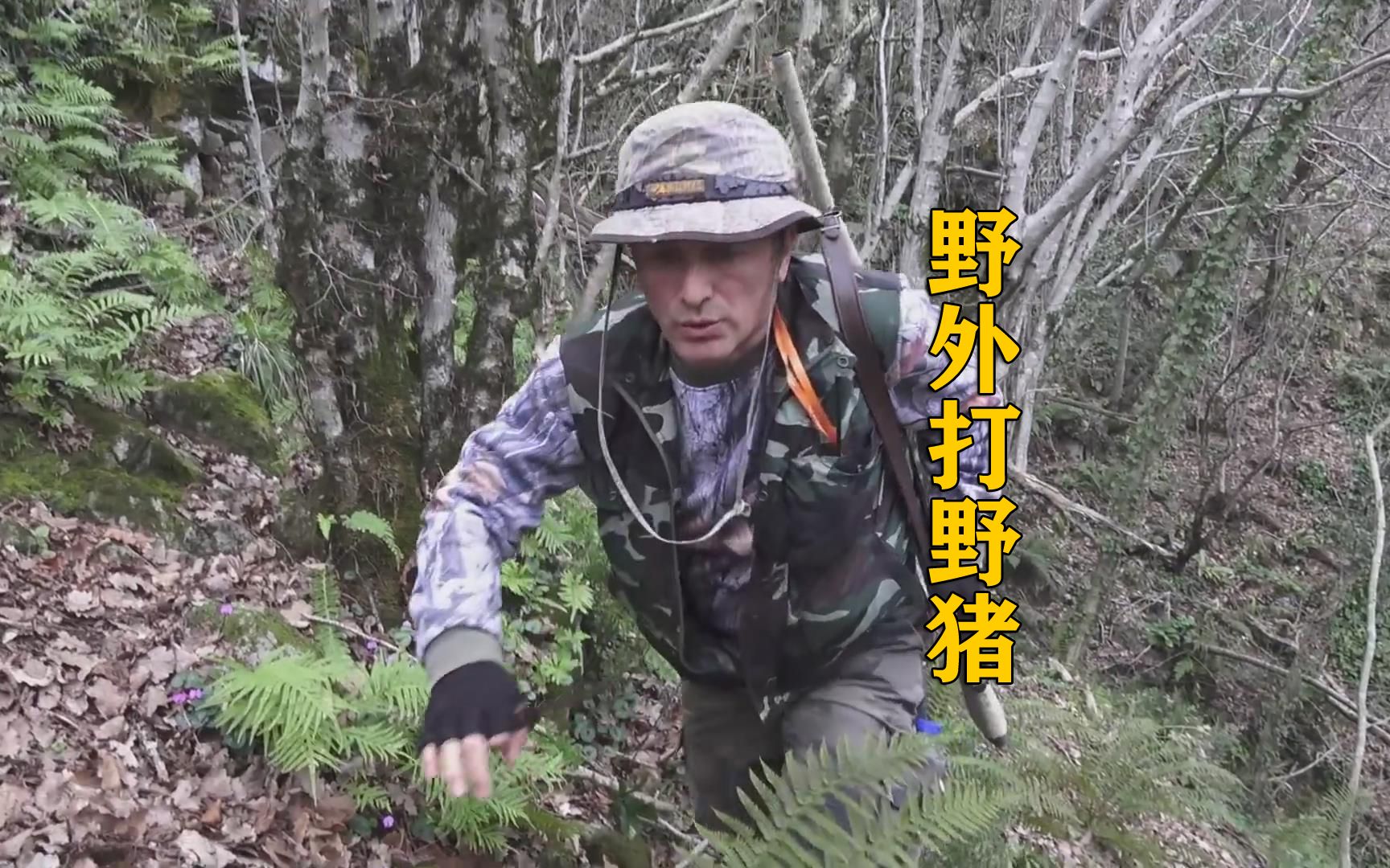 有八倍镜加持在山里打野猪,全程舒爽解压