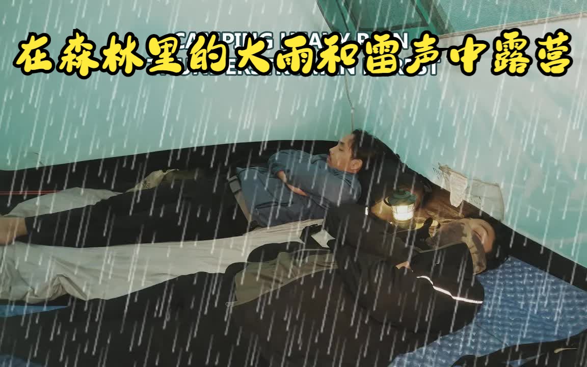 在森林里的大雨和雷声中露营 住在舒适的帐篷听雨哔哩哔哩bilibili