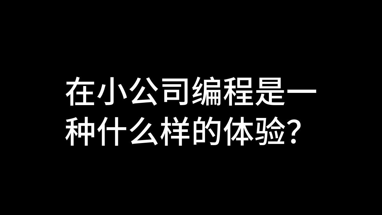 在小公司编程是一种什么样的体验?哔哩哔哩bilibili