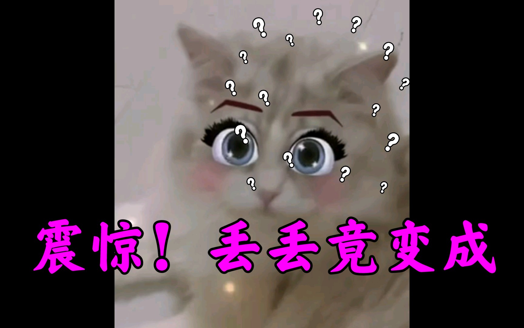 【cat48丢丢】滤镜下的丢丢1.0哔哩哔哩bilibili