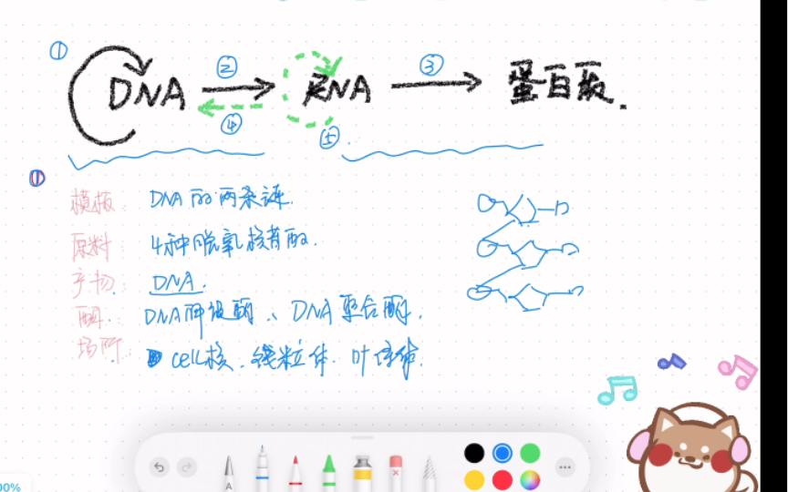 [图]4分钟无痛记住中心法则