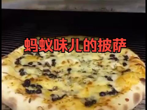 巴西出现蚂蚁披萨