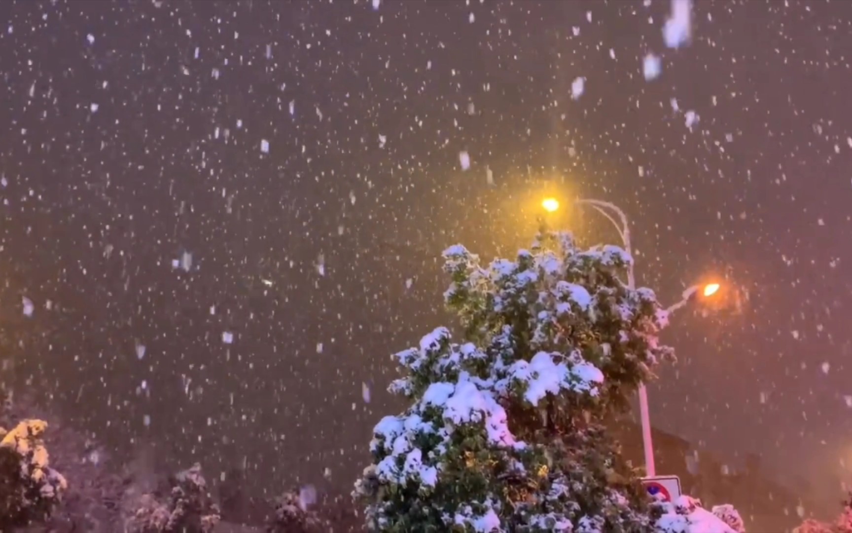 快看，下雪了诶.