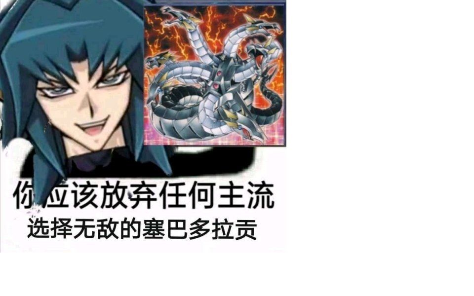 你应该放弃一切主流来玩我无敌的塞巴多拉贡