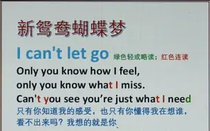 Download Video: 新鸳鸯蝴蝶梦 I can't let go 英文版新鸳鸯蝴蝶梦 新鸳鸯蝴蝶梦英文版