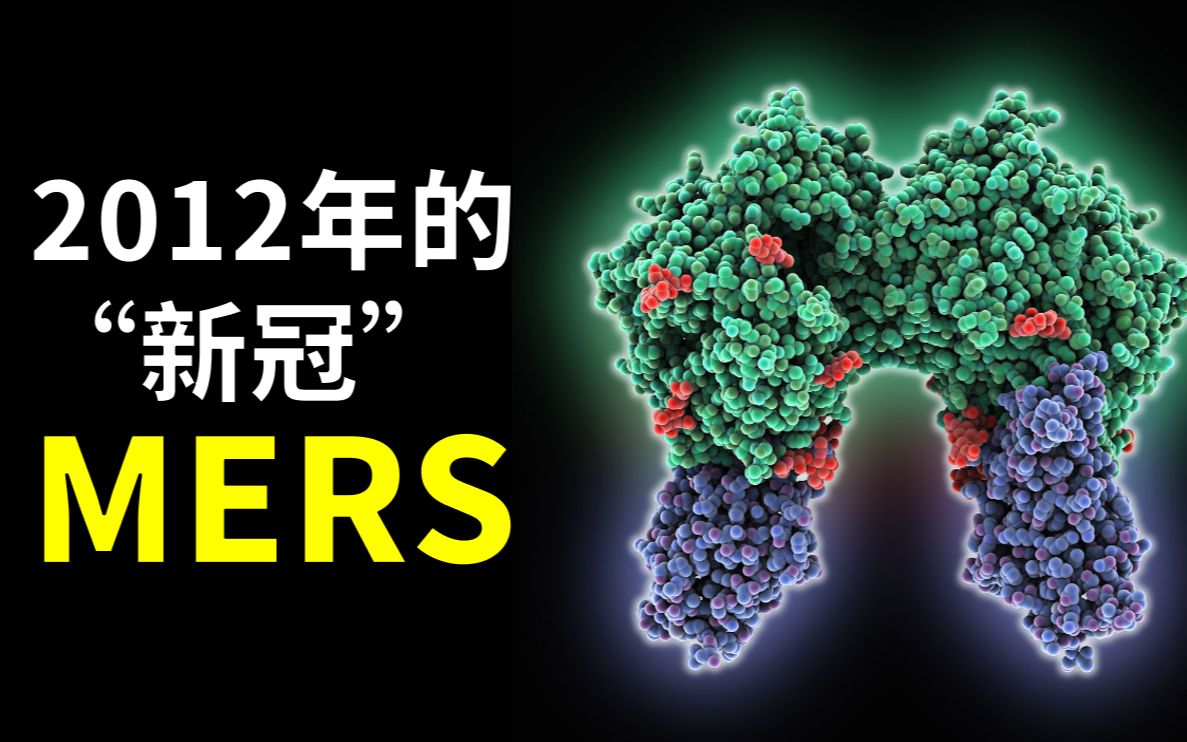 mers症状是什么(懂得mers症状)