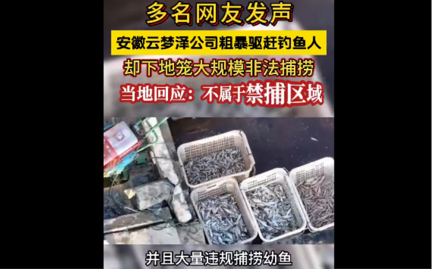 多名网友实名举报 安徽宿松云梦泽公司 使用地笼绝户网进行捕捞 并粗暴驱赶垂钓者 (当地回应 不属于禁捕区域)哔哩哔哩bilibili