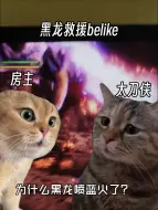 Download Video: 怪猎史低后的黑龙救援belike