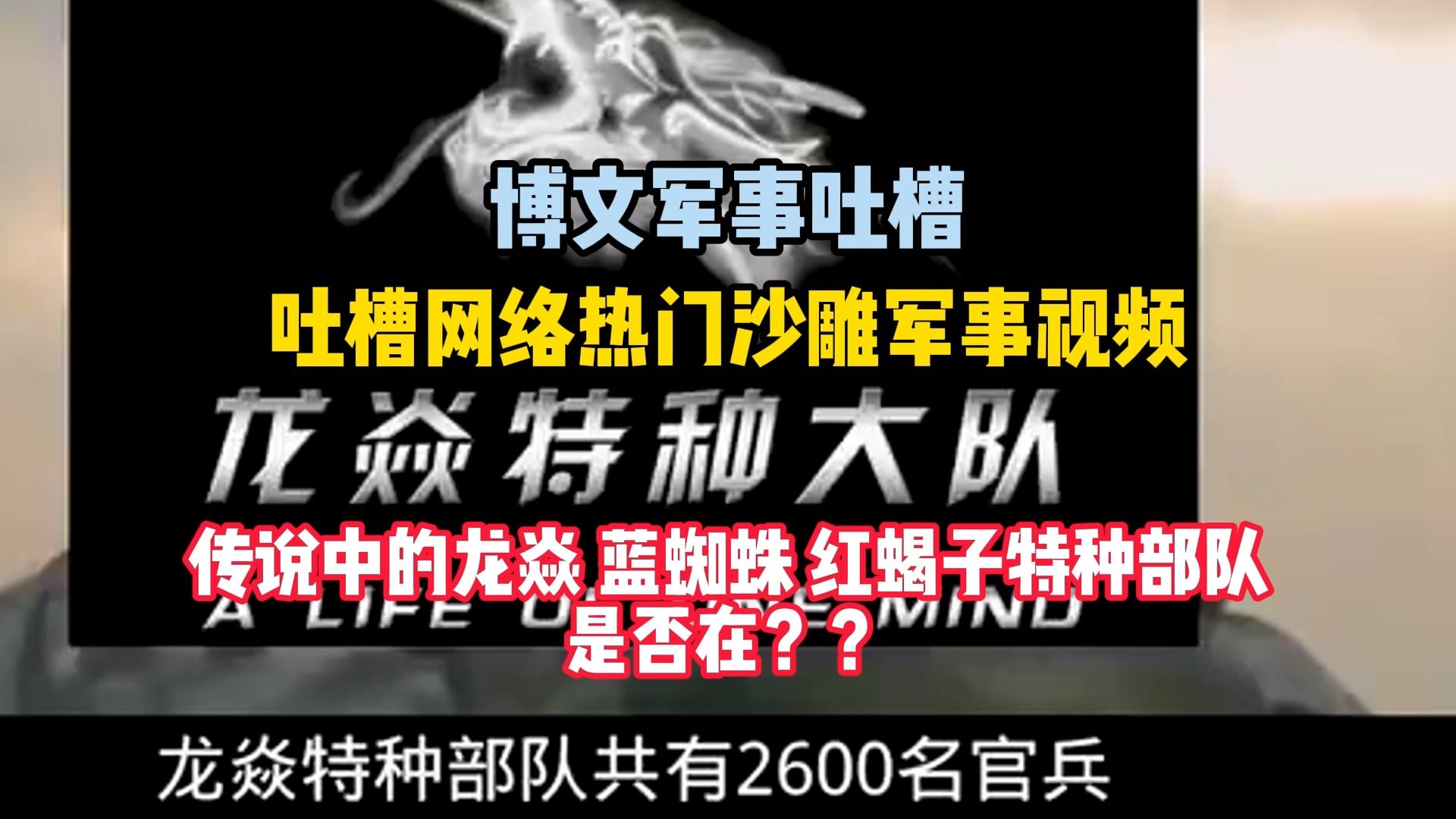 博文军事吐槽 传说中的龙焱 蓝蜘蛛 红蝎子特种部队是否在??哔哩哔哩bilibili