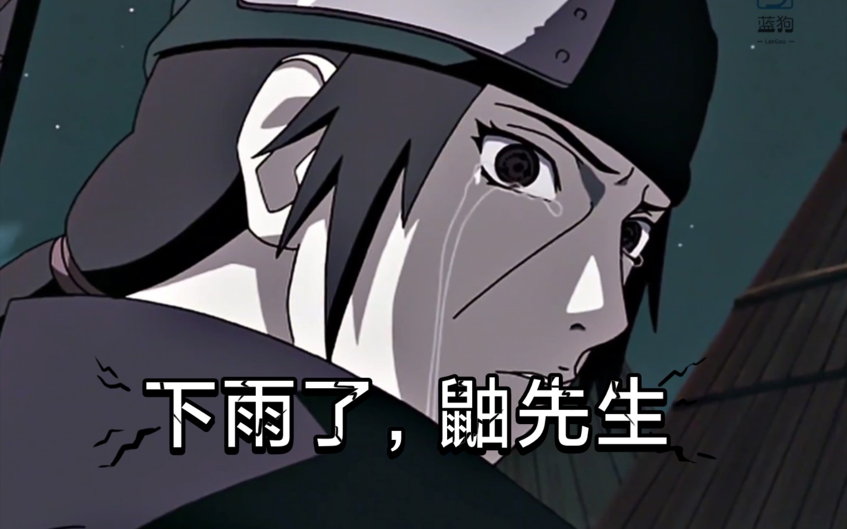 "下雨了,鼬先生,是你在哭泣吗"?