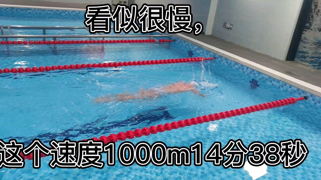 1000米游泳14分钟?配速1:28哔哩哔哩bilibili