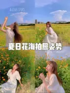 Video herunterladen: 夏日花海拍照姿势