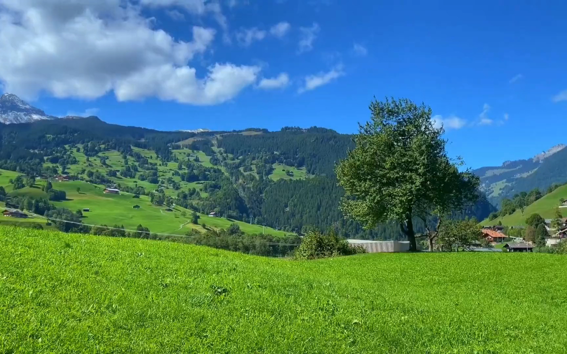 你的夏日好运正在派送 请保持心情舒畅.