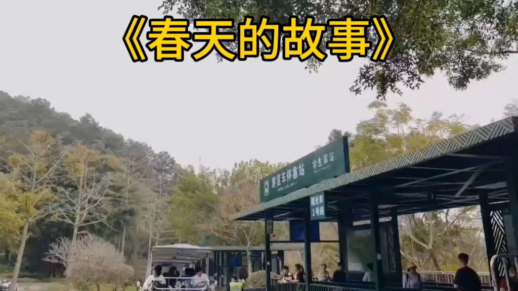 《春天的故事》(董文华),口琴吹奏.